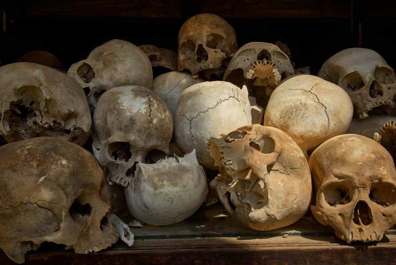 Skulls of Genocide